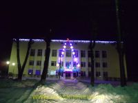K_Novomu_godu_gotovi (7)
